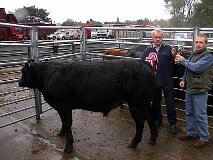 Best Single Calf that made £850, Mr R Hastings with Judge Mr C Kennedy
