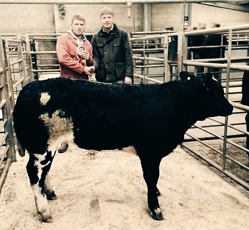 Champion Single - Neil Shuttleworth, Drumburn with Judge David Morgan