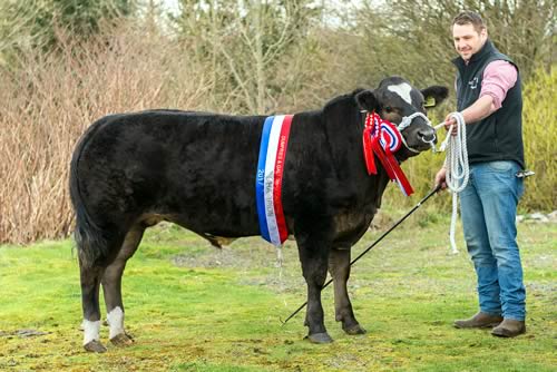 Champion from Ali Jackson