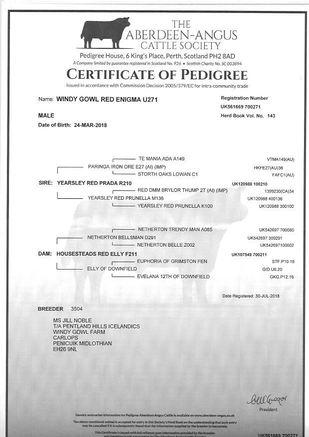 70 Limousin X and BB X Suckled Calves