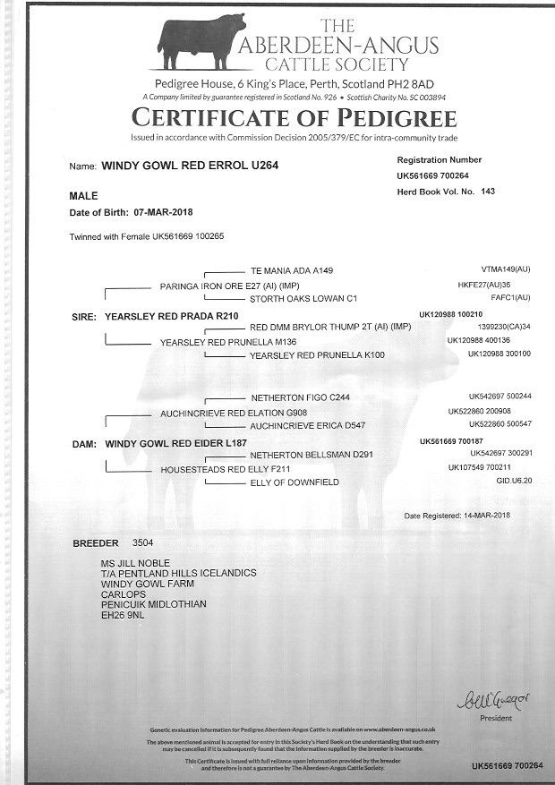 70 Limousin X and BB X Suckled Calves