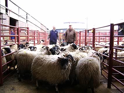 Champion pen of Blackfaces, pictured the Judge Paul Barker and vendor John Fisher