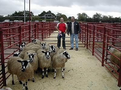 Champion Pen of 10 Mule Gimmer Lambs from J.T. James Midtodhills Roadhead Carlisle, £90.00. Kenneth James receiving the Champion rosette from Judge Brian Ridsdale, Yew Tree Farm, Penrith