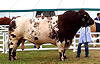 lot_44_lowther_hugano