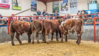 Pilmuir £1190