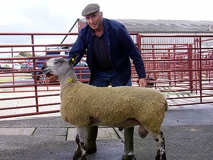 Top priced Leicester shearling (£3,400) with owner Addie Carruthers, Peela Hill