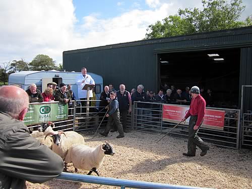 Kintyre Sale
