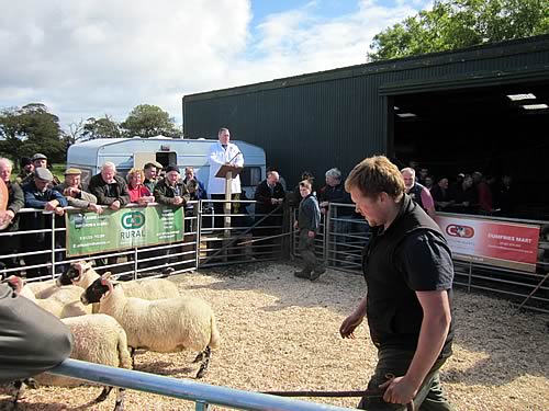 Kintyre Sale
