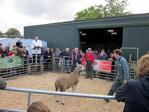 Kintyre Sale