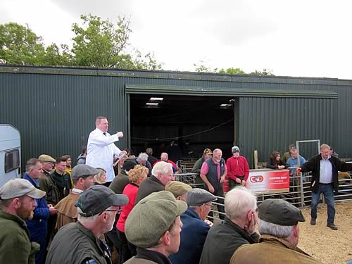 Kintyre Sale