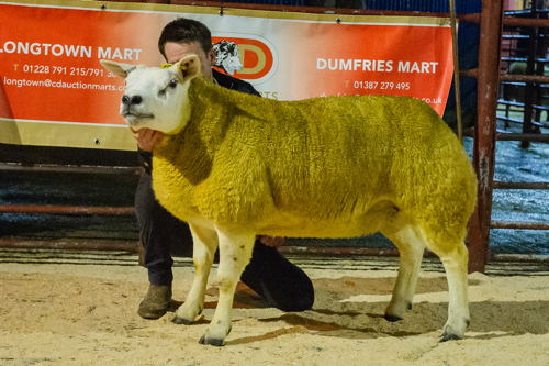 Lot 80 from A Blackwood sold for top price of 3000gns