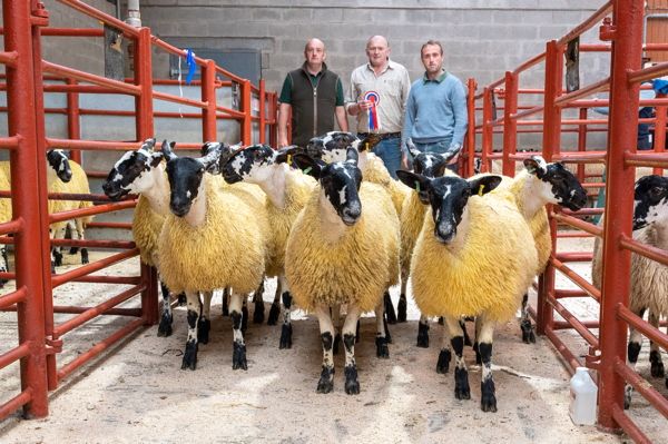 First Prize Pen of Greyface Ewe Lambs